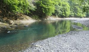 Ryujin Village Oku-Komatagawa Bungalow - Vacation STAY 42249v