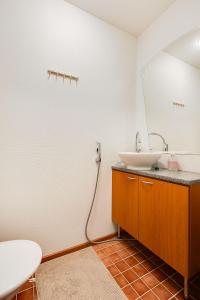 A6 Aurora Borealis Visit Levi