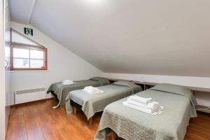 A6 Aurora Borealis Visit Levi