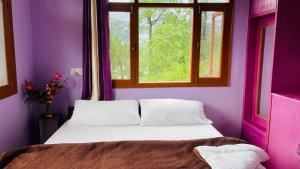 Mayank homestay shimla