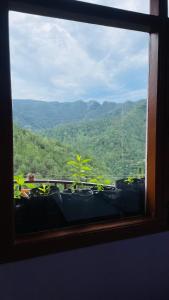 Mayank homestay shimla