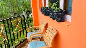 Mayank homestay shimla