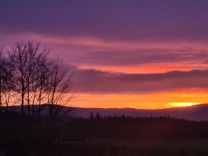 Rosenzauber Luxux-Caravan 5 Sterne