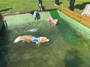 Biwako Hills - Vacation STAY 27844v