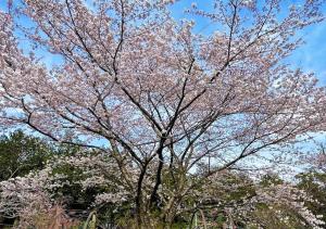 Biwako Hills - Vacation STAY 57199v