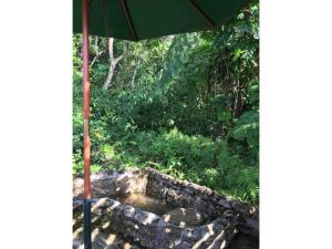 Nature Lodge Niji no Mame - Vacation STAY 45236v