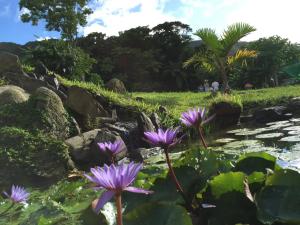 Nature Lodge Niji no Mame - Vacation STAY 45233v