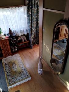 Ishinomaki - House - Vacation STAY 17245