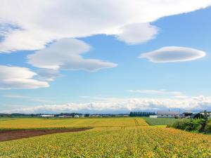 Buena Vista Tokachi - Vacation STAY 47319v