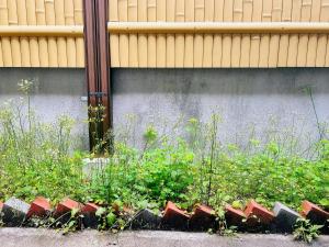 Kokoro no Sato Ume - Vacation STAY 63204v