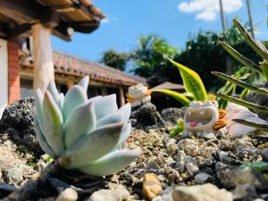 Minshuku Kunya - Vacation STAY 70157v