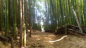 Tadoan - Vacation STAY 16923