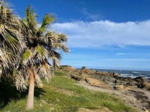 Megumistay - Vacation STAY 15662v