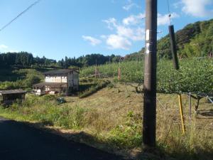 B&B Yufu Tenryo no Sato Bird & Bed - Vacation STAY 38523v