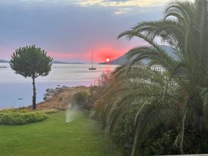 Les oliviers 11 Appartement, bord de mer, porto-vecchio