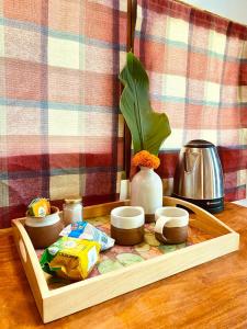 The Imagination Auroville