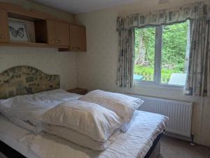 Family-Friendly Woodland Caravan Pool & Bar