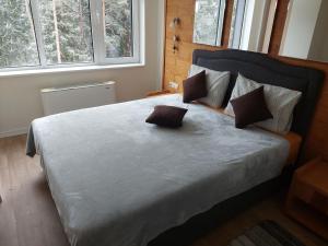 Apartment Relax Chamkoria Borovets