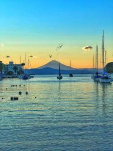 ABURATSUBO BEKKAN - Vacation STAY 17571