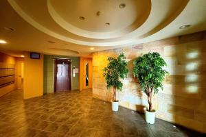 Crystal Court Namba 204, 402, 704, 801, 802, 902 - Vacation STAY 18807