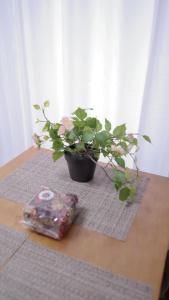 City Pal Sakurashinmachi - Vacation STAY 17753