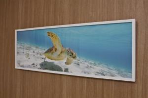 BLUESOLARE Aqua - Vacation STAY 14207v