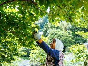 Shirataki no yado - Vacation STAY 29763v