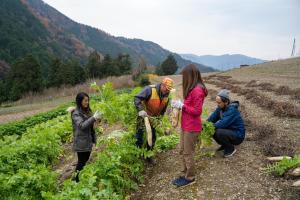 Minsyuku Uribou - Vacation STAY 29922v