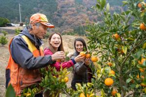 Minsyuku Uribou - Vacation STAY 29922v