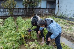 Iwanoya - Vacation STAY 30074v