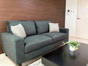 Lion Heiwa Odori - Vacation STAY 17937