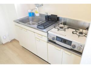 City Petrushka - Vacation STAY 18111