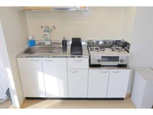 City Petrushka - Vacation STAY 18112