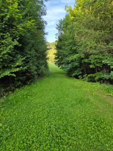 Pensjonat Ognisty Wdżar - Velo czorsztyn - CzorsztynSki - Pieniny -Jezioro Czorsztyńskie -