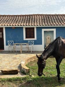 Suite no campo