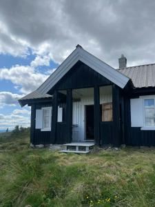 Traditional Mountain Cabin Near Hallingskarvet
