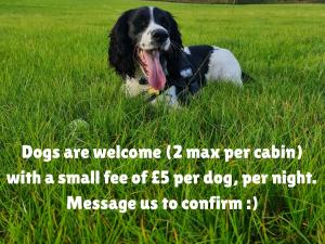 The Loft Glamping & Camping