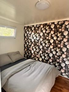 Łeba Domki z Klimatyzacją