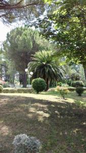 COCON en Camargue
