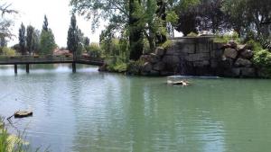 COCON en Camargue