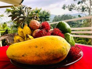 Seasons Homestay