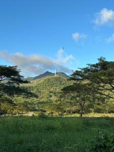 Sierra Sky Cabin by RK