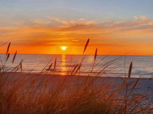 Luxury Retreat in Rorvig Park-By Traum