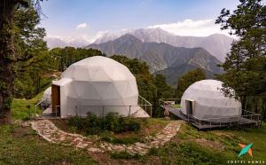 Zostel Homes Billing, Bir