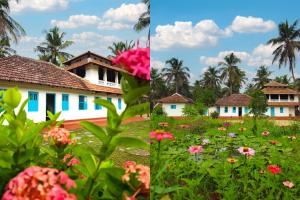 Aavi beach retreat, Nileshwar