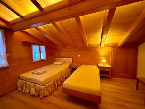 Gstaad Blue Sky Chalet with stunning views