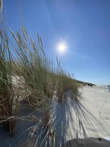 Apartamenty Babie Lato