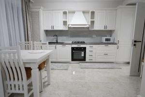 Apartament Ultracentral NICOL