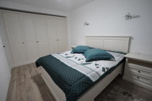 Apartament Ultracentral NICOL