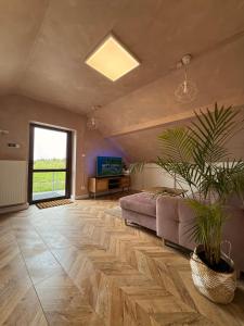 Apartament pod miastem